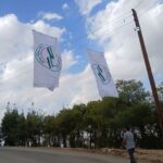 photo_19_2025-11-11_13-19-36