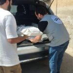 photo_2025-11-05_10-05-51