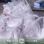 photo_5_2025-11-12_14-09-32