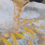 photo_8_2025-11-11_13-19-36