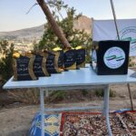 photo_9_2025-11-11_13-19-36